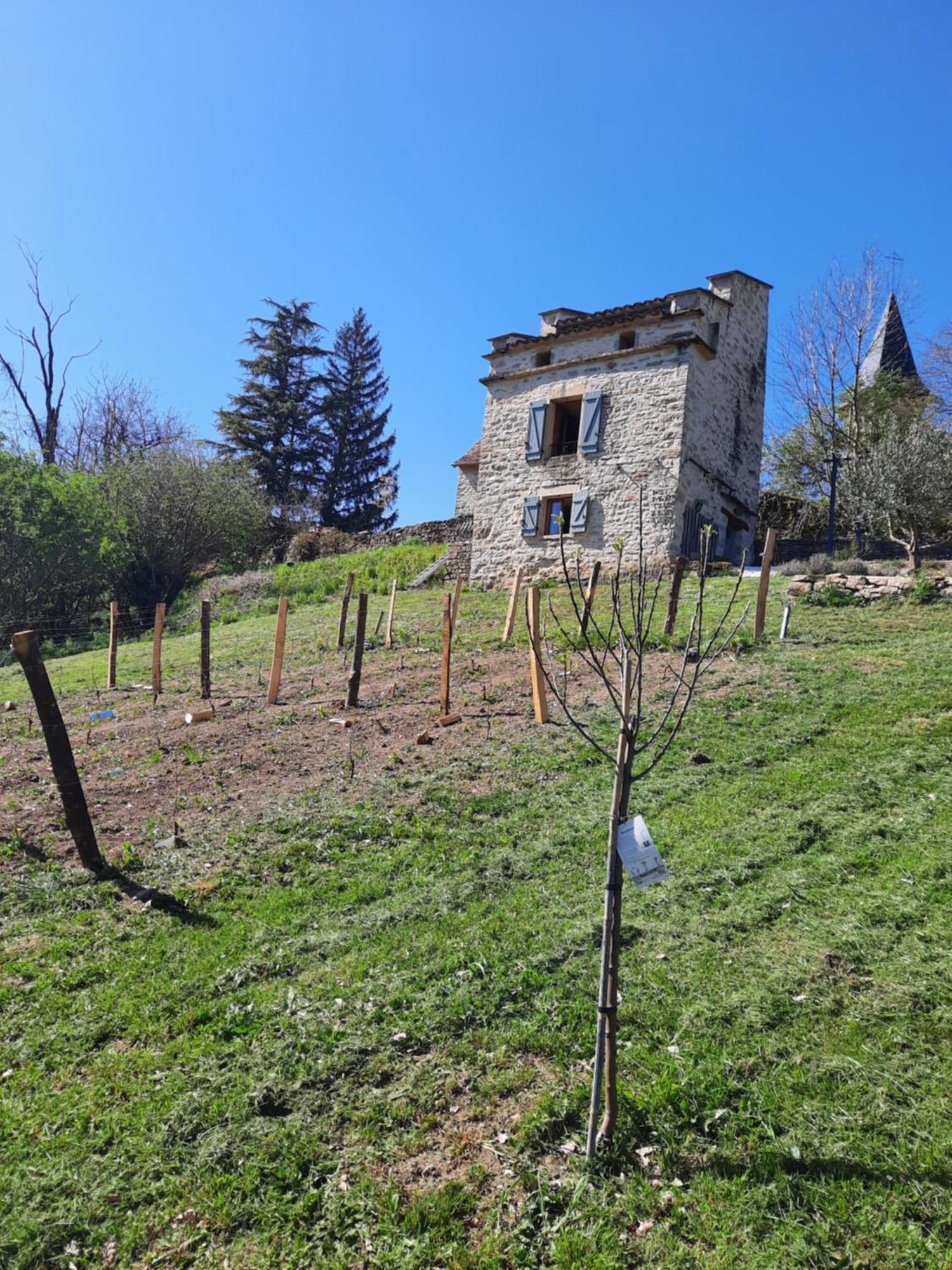 Le Pigeonnier De Felines Hébergement de vacances Caylus